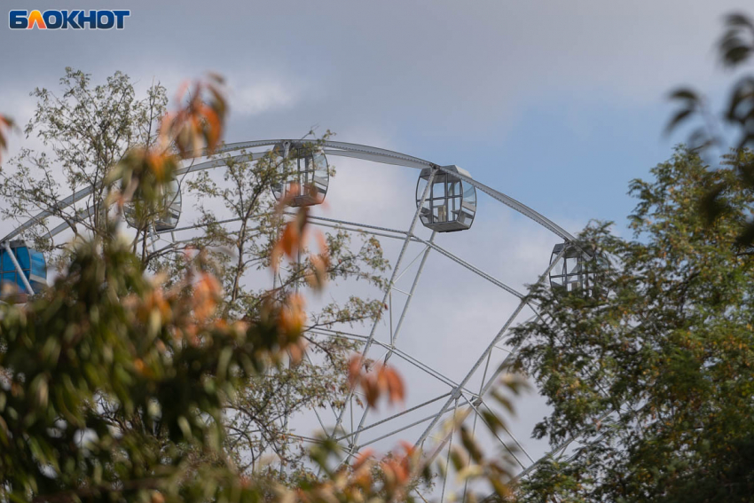 Первый иней, туман и ночные морозы напомнят волгоградцам о близкой зиме