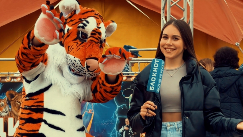 Сногсшибательное шоу «Тигры в городе» поразило волгоградцев