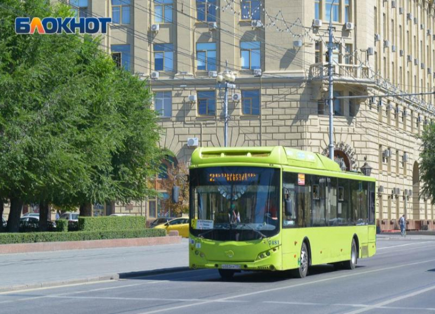 Волгоградцы в 50+ хотят водить пассажирский автобус и руководить