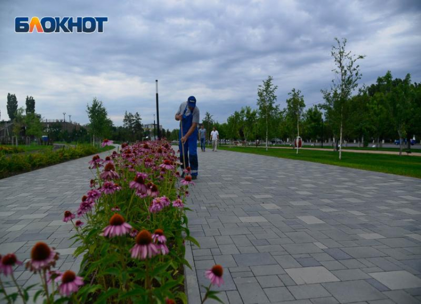 Доходы ниже прожиточного минимума и самое большое количество преступлений: доклад Волгоградстата