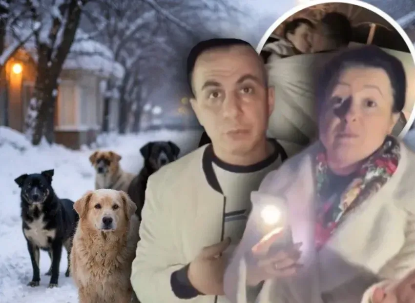 «Меня зона не сломала»: скандальный волгоградский приют проверят в Волгограде