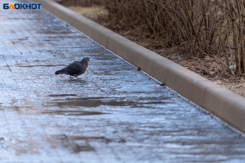 Снегодождь накроет Волгоград в середине недели