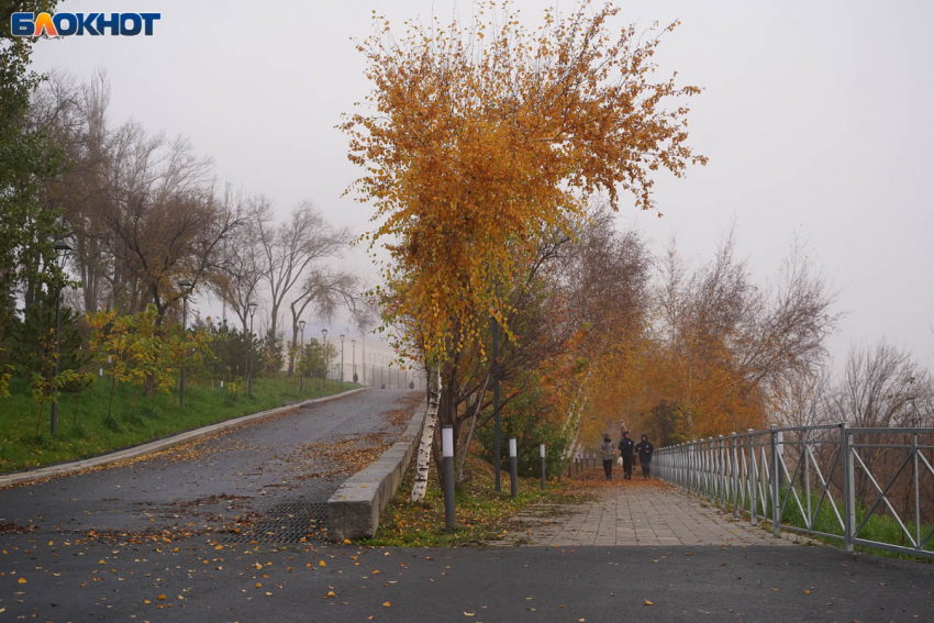 Дождь, мокрый снег и гололедица: погода на 10 декабря в Волгограде
