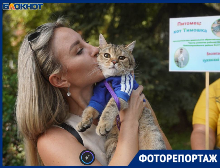 У столичных звезд эстрады нашлись сильные конкуренты в Волгограде