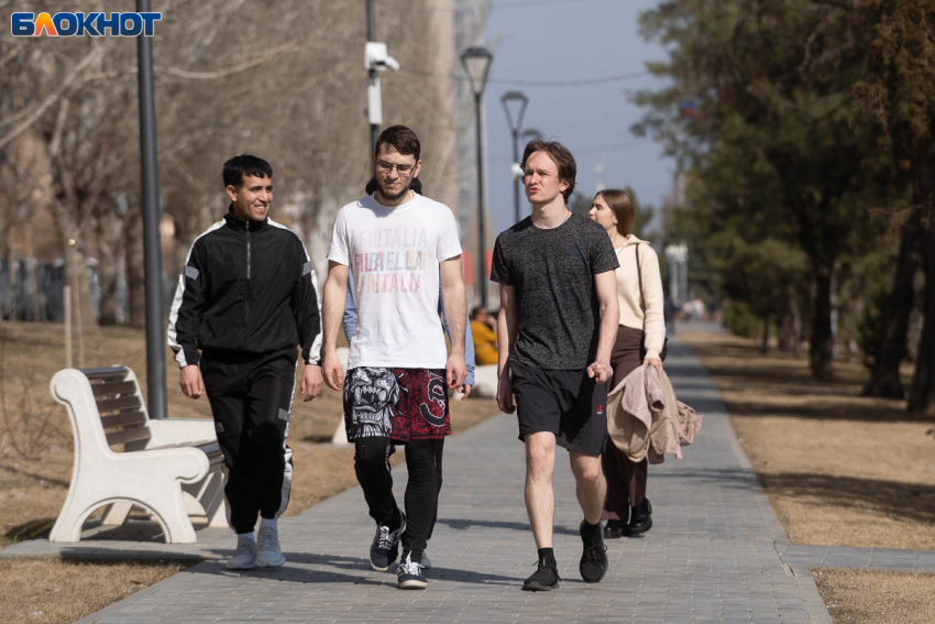 Экстремальное тепло пробьется в Волгоград на новой неделе