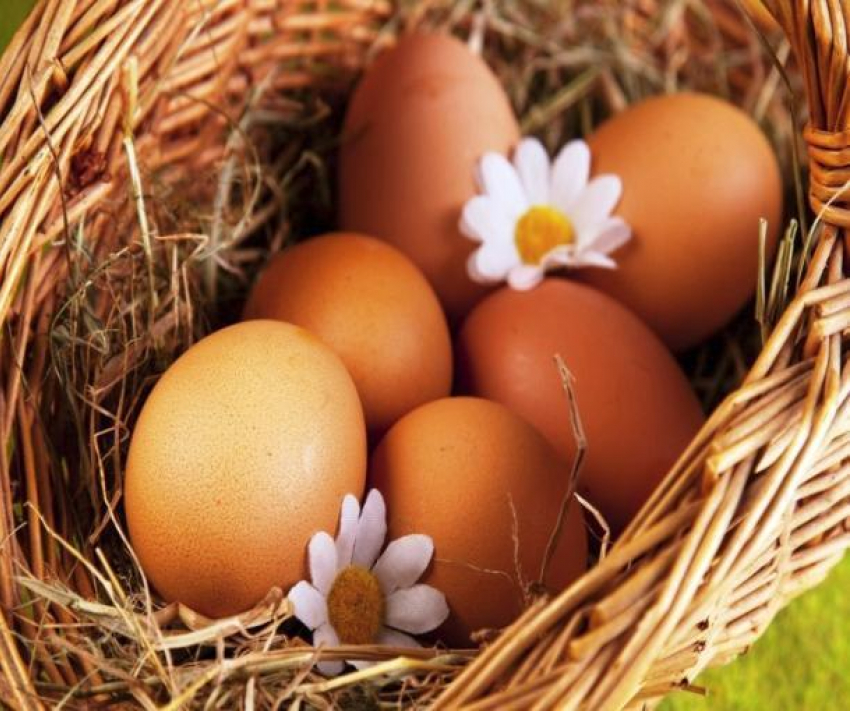 В Волгоградской области стало больше яиц