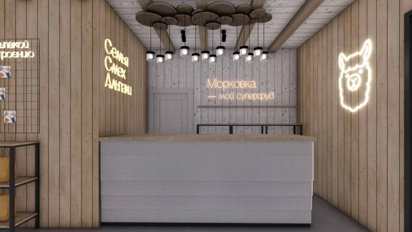 В центре Волгограда строят новый дом для альпак: дизайну позавидовали даже люди