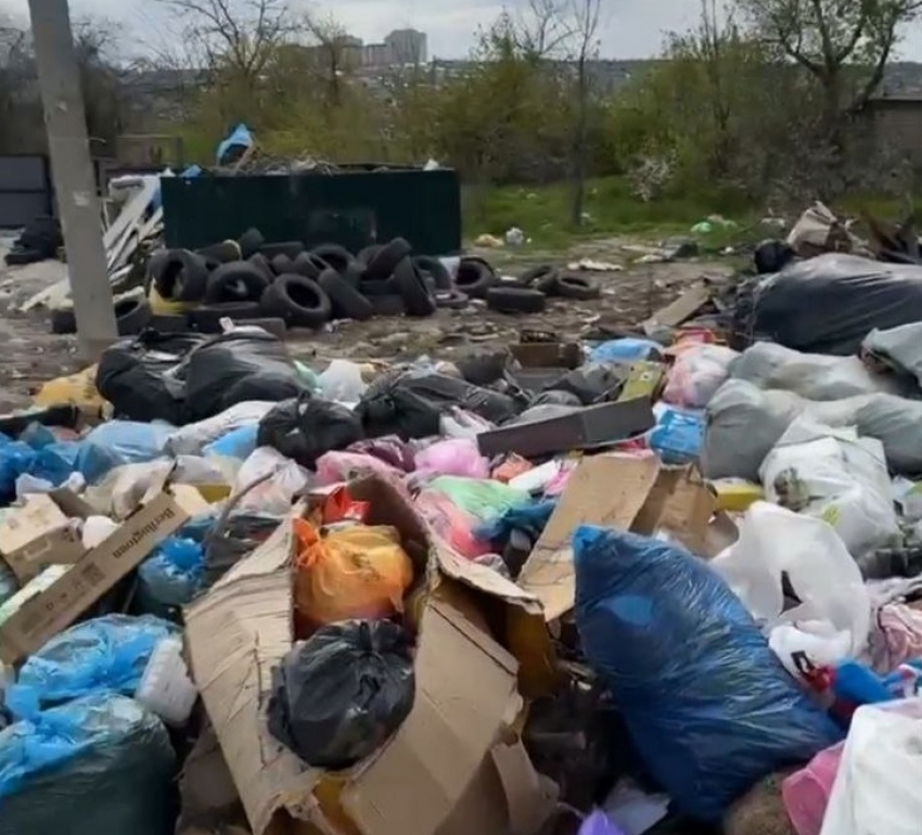 Жгли и ломали: подарок сделали бескультурным волгоградцам