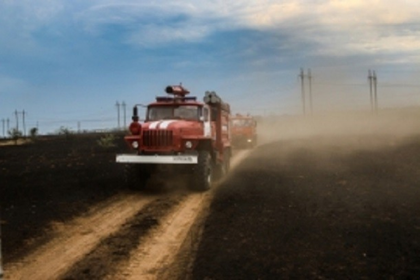 МЧС назвало причину пожара в аудитории Волгоградской сельхозакадемии