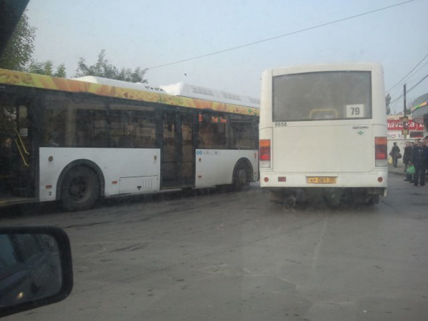 Волгоградцы запечатлели на фото самоуничтожение «Питеравто»