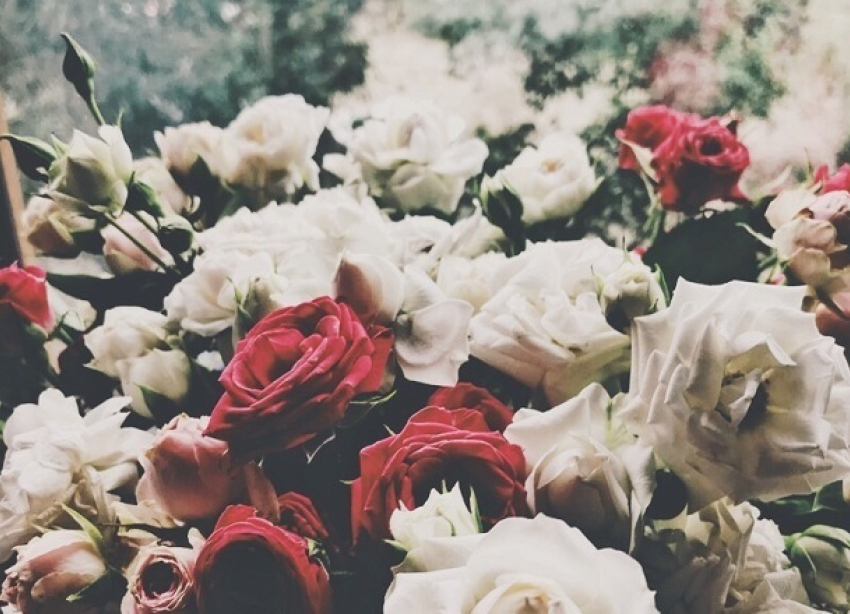 Всемирный день здоровья волгоградцы встретят с дождем и +14