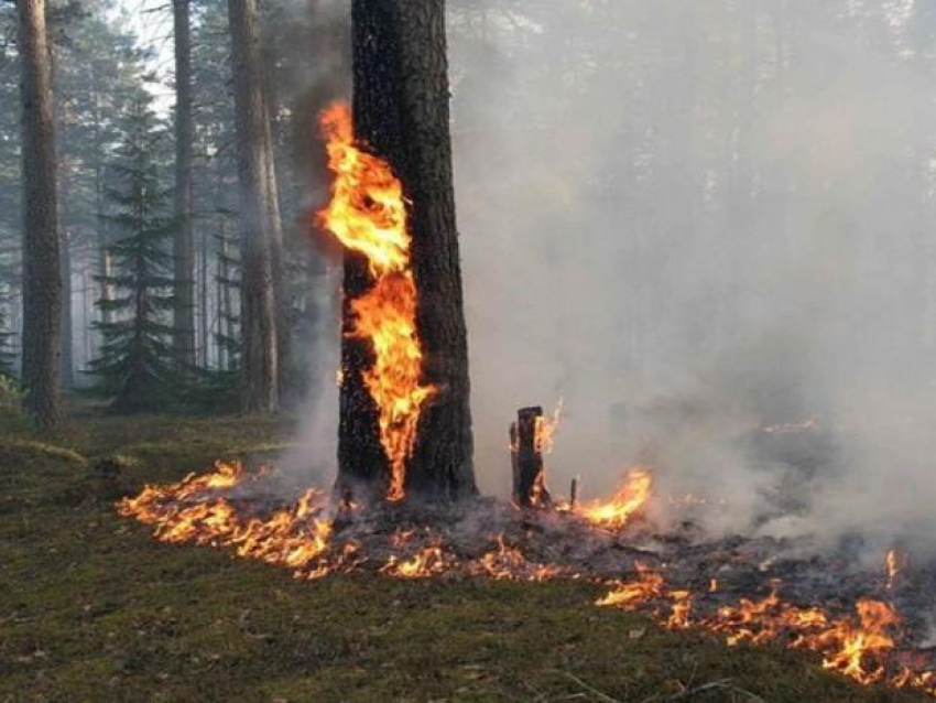МЧС вновь предупреждает о высокой степени пожароопасности в Волгограде