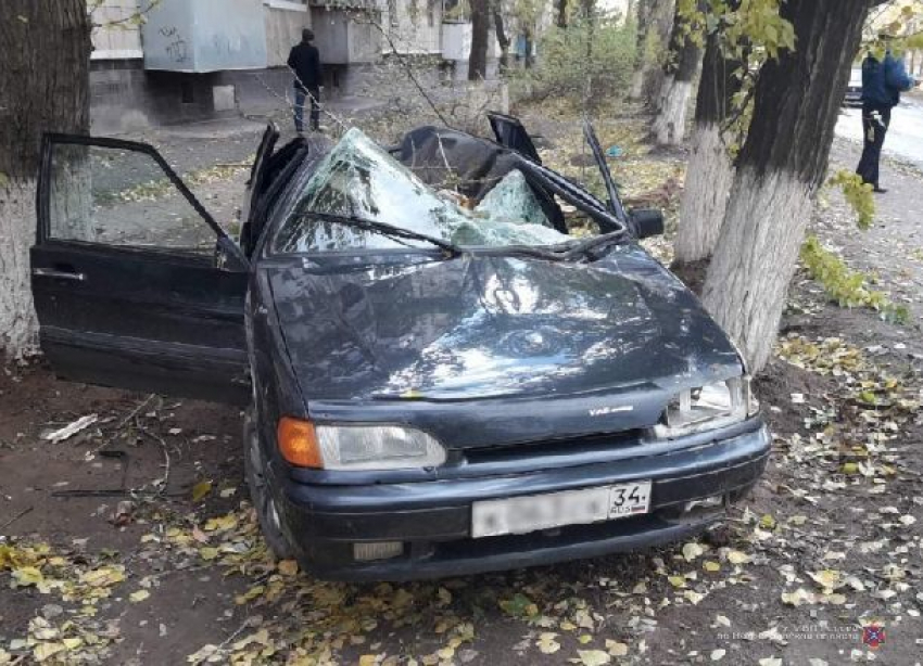 Рухнувшее на проезжающий автомобиль дерево спровоцировало ДТП в Волгограде