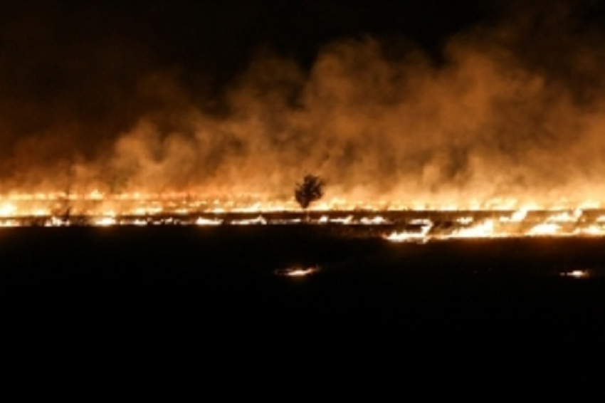 Высокая пожароопасность наблюдается в Волгоградской области