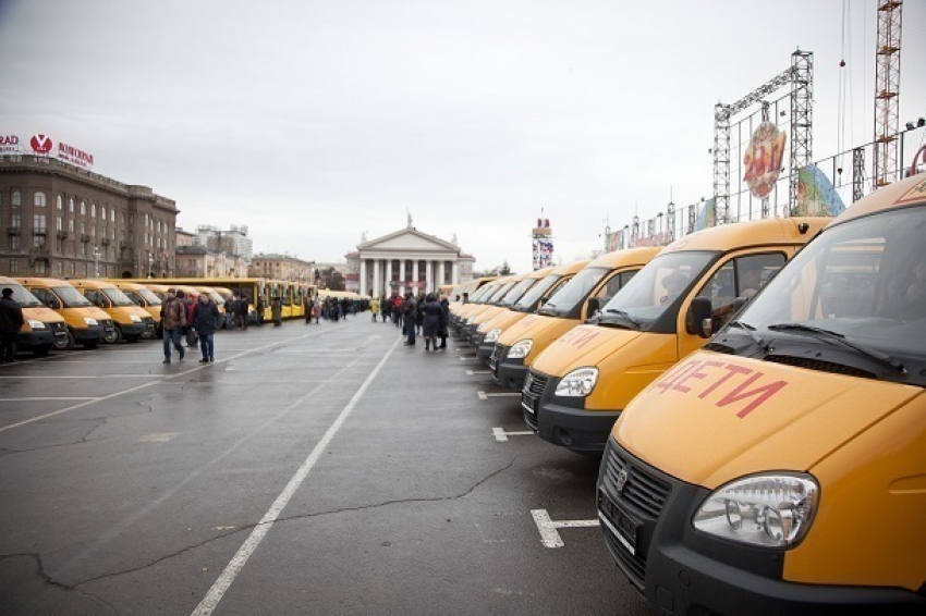 "Газели", «Форды» и ПАЗы будут возить школьников Волгоградской области