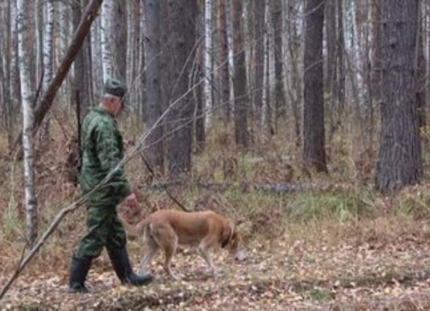 В Волгоградской области разрешили охотиться на дичь