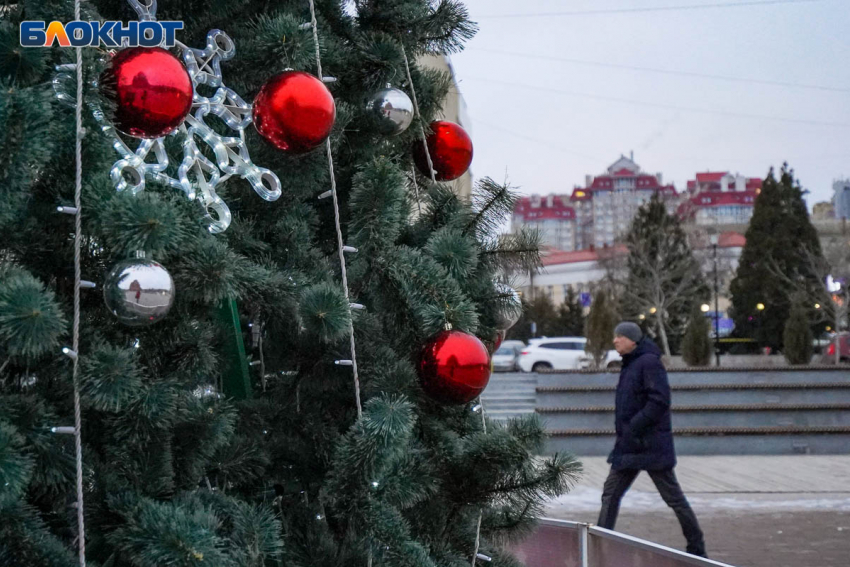 Волгоградцы готовы потратить на новогодние каникулы более 30  тысяч рублей 