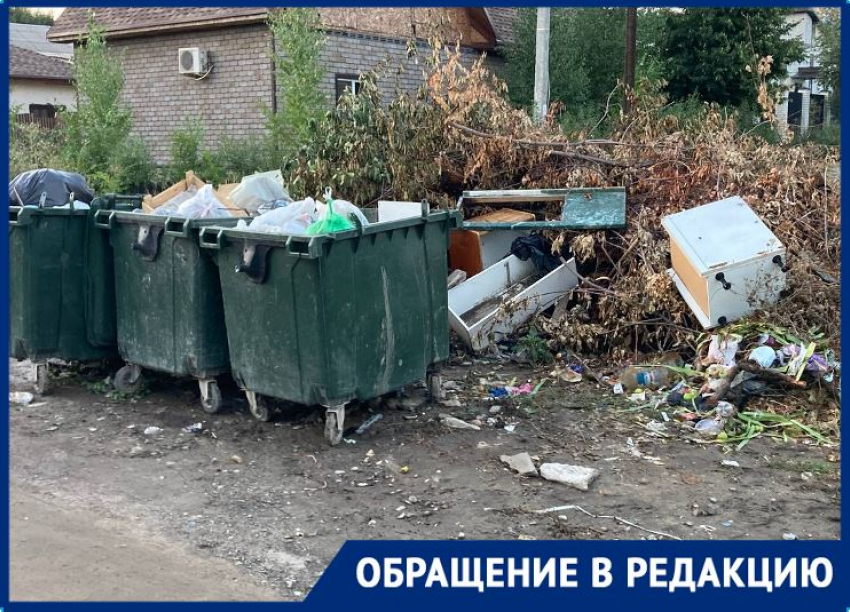 В центре Волгограда снова разрослась позорная свалка