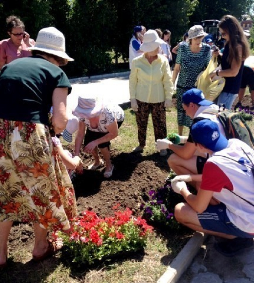 В Волгограде в парке имени Гагарина высадили 2 тысячи цветов