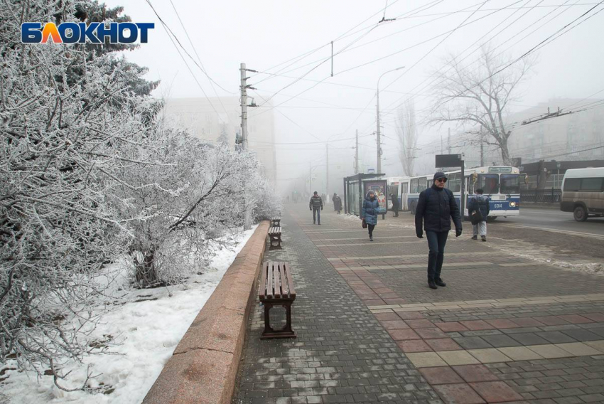 Морозы до -20º, туман и изморозь: погода в Волгоградской области на 11 декабря