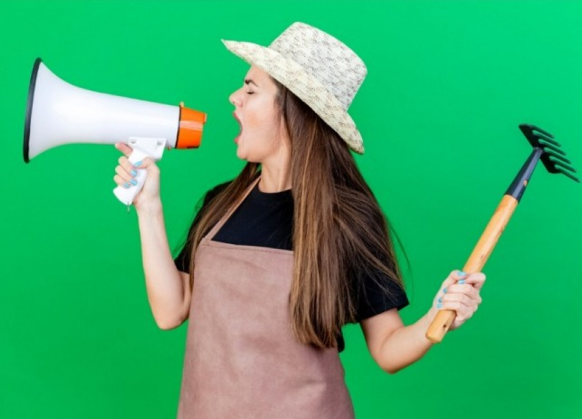 В Волгограде ищут тех, кто не боится контактировать с людьми и овощами