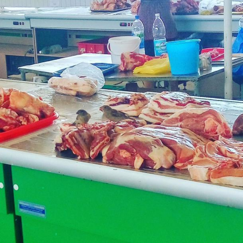 Голодные воробьи клюют мясо с прилавков на рынке Волгограда