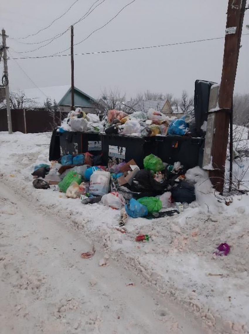 Волгоградцы массово пожаловались на мусорный беспредел