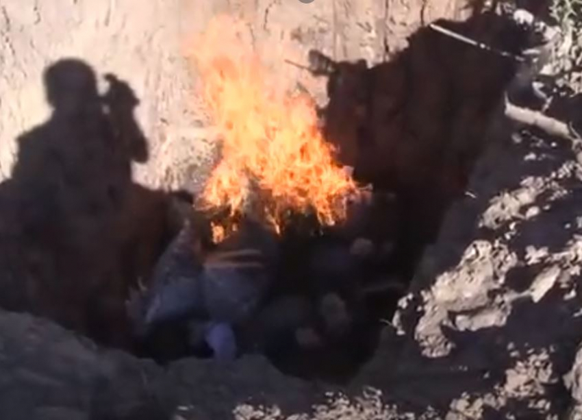 На видео сняли, как сожгли 8 кг наркотика в Волгоградской области
