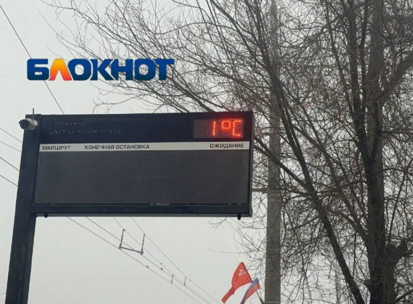 Январь прощается с волгоградцами мартовской погодой