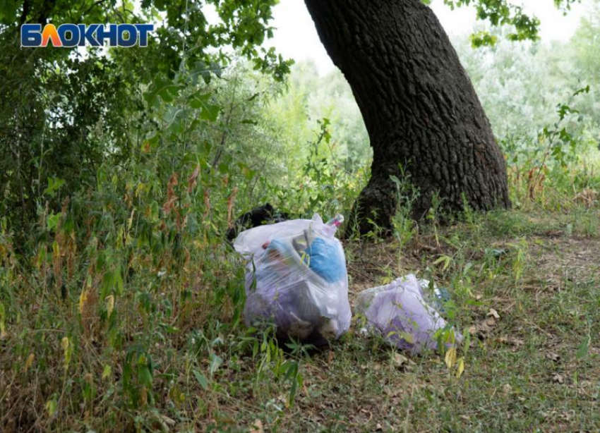  Не выезжать на природу просят жителей Волгоградской области 