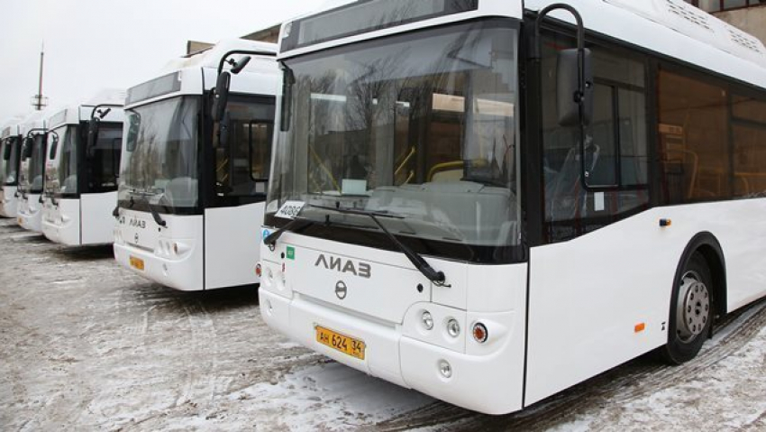 Три новых автобусных маршрута появятся в Волгограде к 1 февраля 