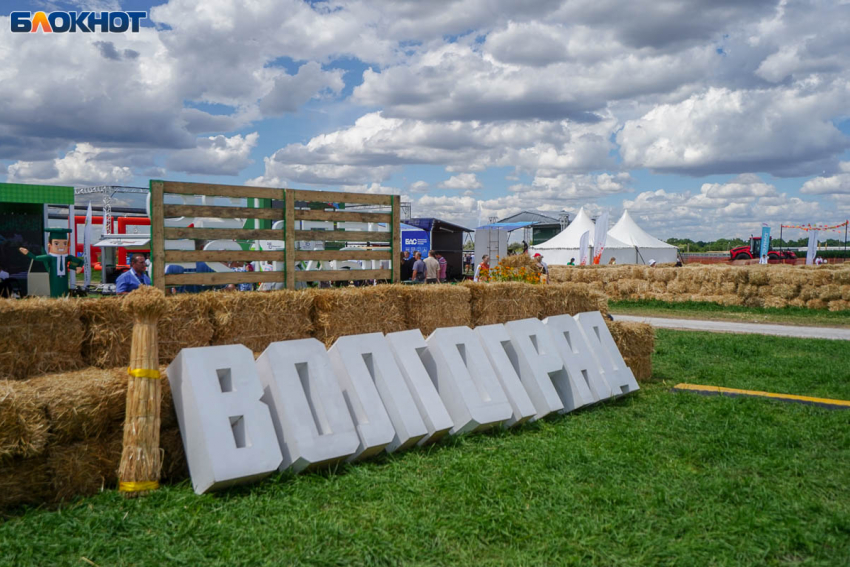 Новые производства и 130 инвестпроектов поднимут экономику Волгоградской области в 2026 году