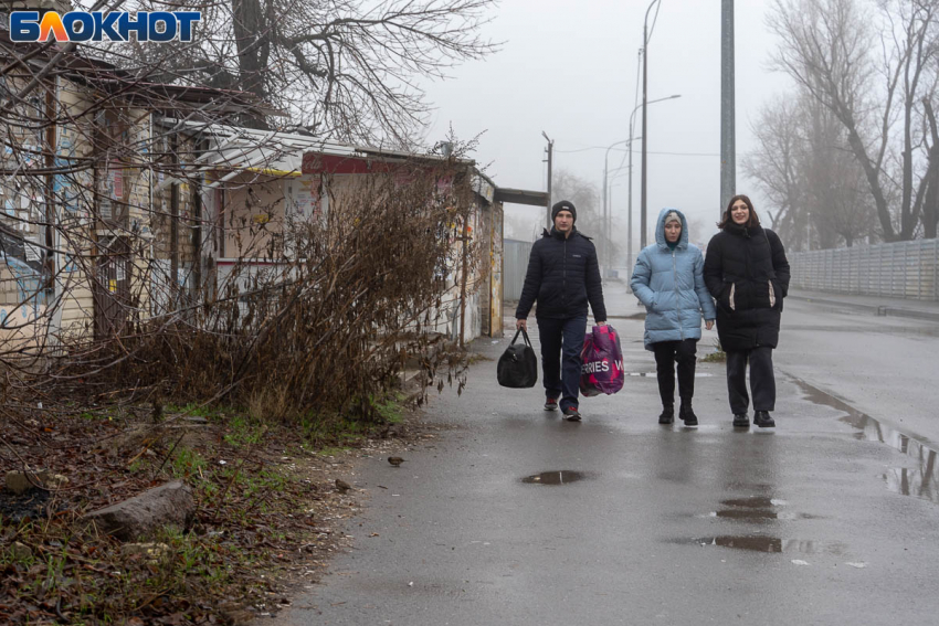 Дожди и магнитные колебания: погода в Волгограде на 4 апреля