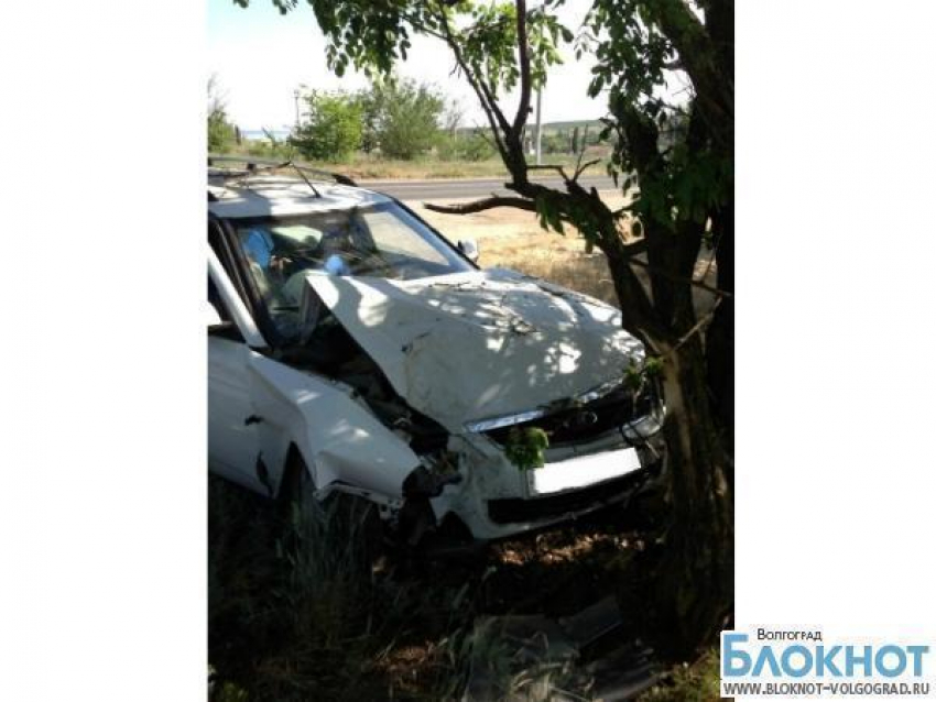 Дерево стало камнем преткновения для водителя Lada под Волгоградом