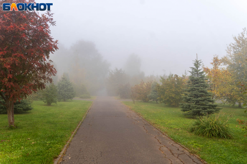 Теплое туманное воскресенье наступило в Волгограде