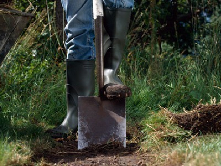Под Волгоградом мужчина убил друга и закопал его в лесополосе
