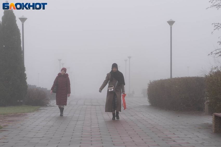 Тепло, дымка и дождь: погода в Волгограде в последний день ноября