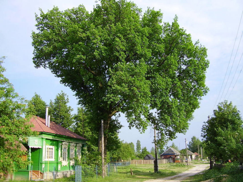 В Волгоградской области сельским ТОСам дадут 8 млн на благоустройство