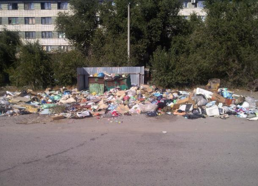 Жильцы военного общежития утопили в мусоре свой двор на севере Волгограда 