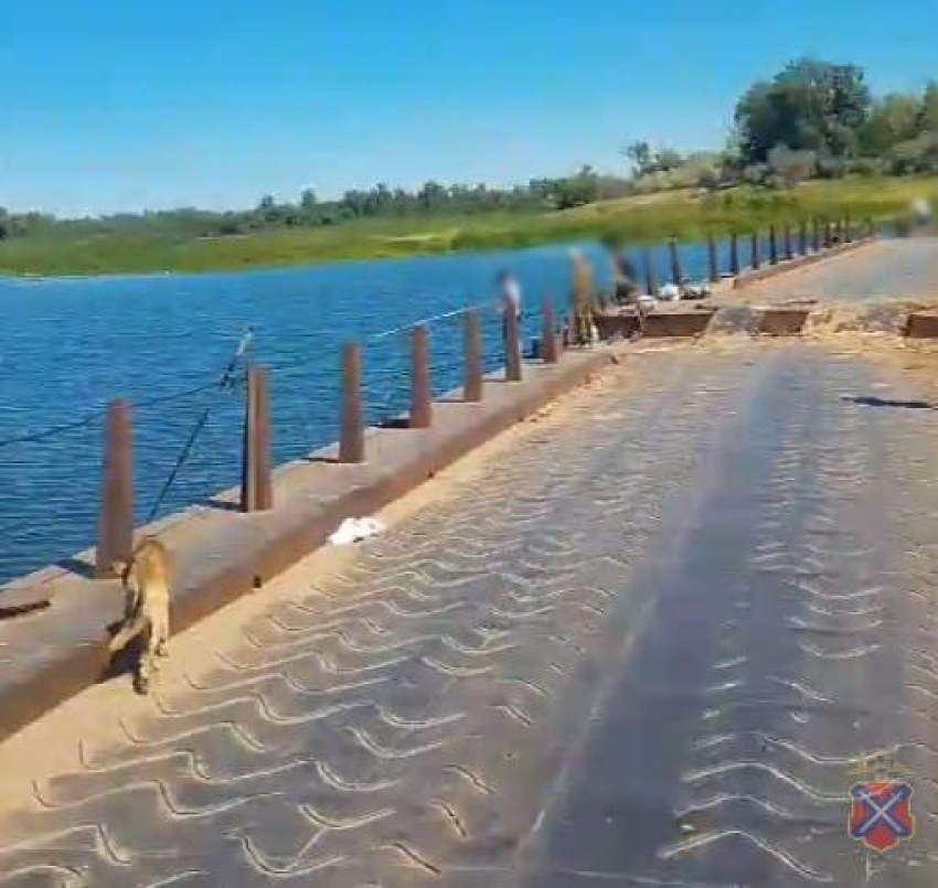 «Гнался, убил и утопил»: смерть 15-летнего волгоградца обросла жуткими слухами