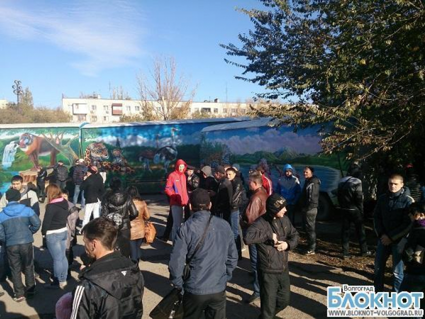 Волгоградцев, вышедших на митинг против терроризма, задерживают полицейские