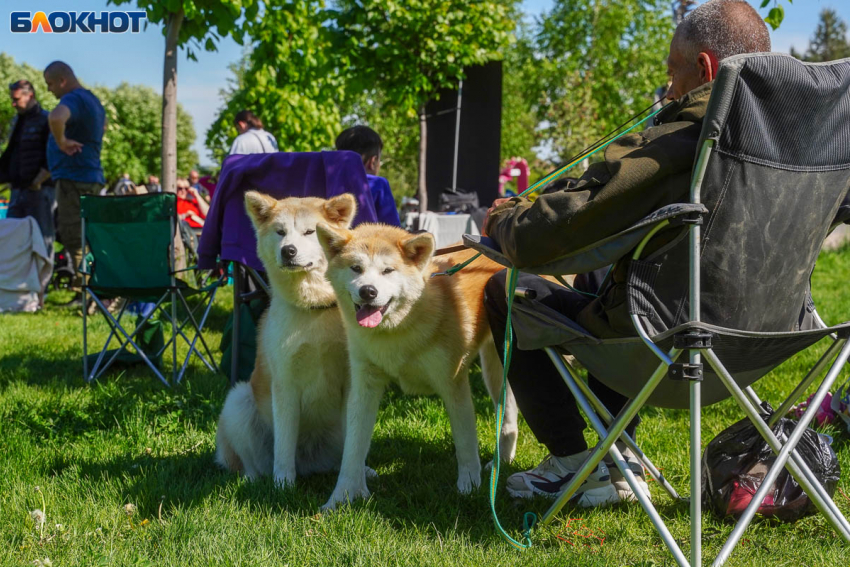 Температурные качели в 25 градусов переживут волгоградцы 4 мая