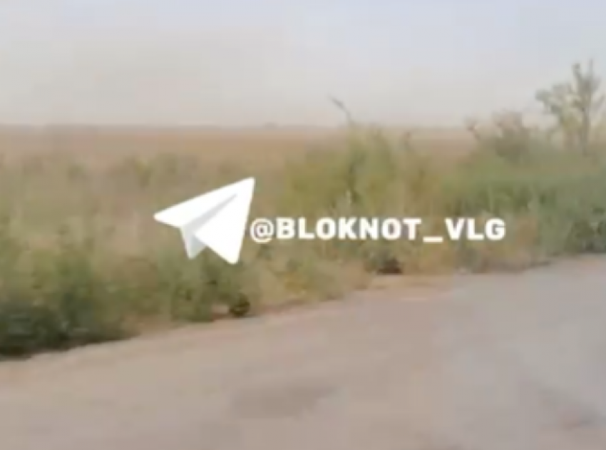 Надвигающуюся на Волгоград пыльную бурю заметили дачники 