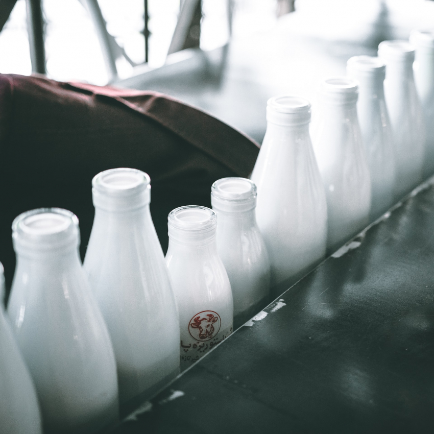 В Волгоградской области выявили опасное молоко «из будущего»
