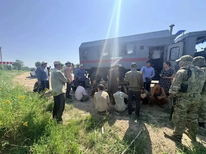 Массовую облаву на мигрантов устроили в Волгоградской области
