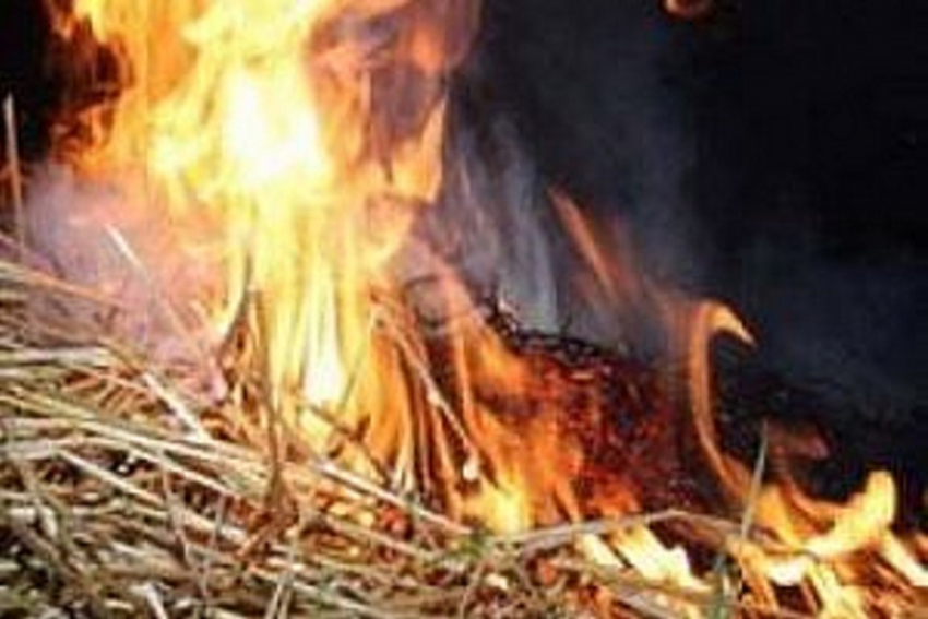 Неизвестный спалил 6 тонн сена под Волгоградом 