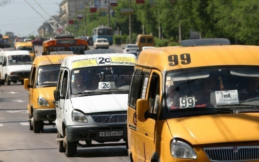 Мэрия Волгограда: практически все маршрутки в городе работают без договоров