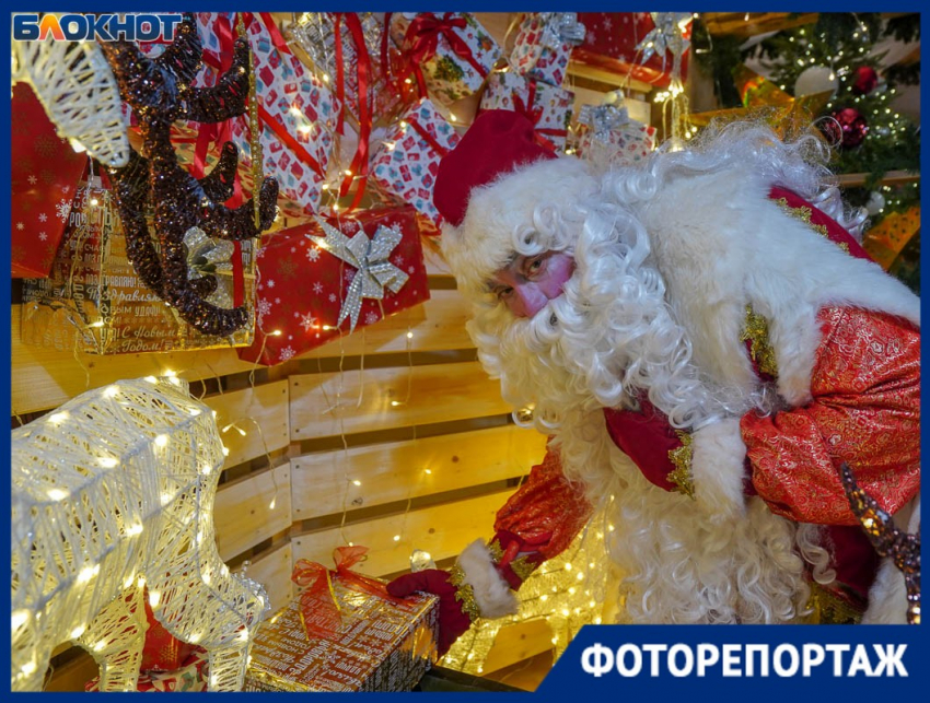 Неистовый дед устроил пляски с конем в центре Волгограда