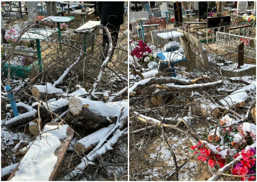 «Ничего не могут и хотят жить вечно»: экс-депутат Госдумы обвинил власти Волгограда в кладбищенском беспределе