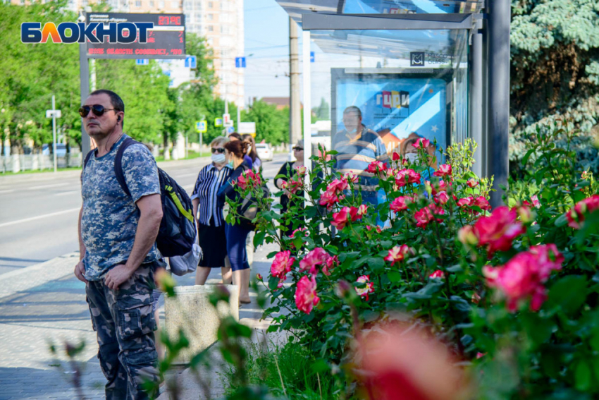 Волгоградцам рассказали, стоит ли идти в отпуск в мае